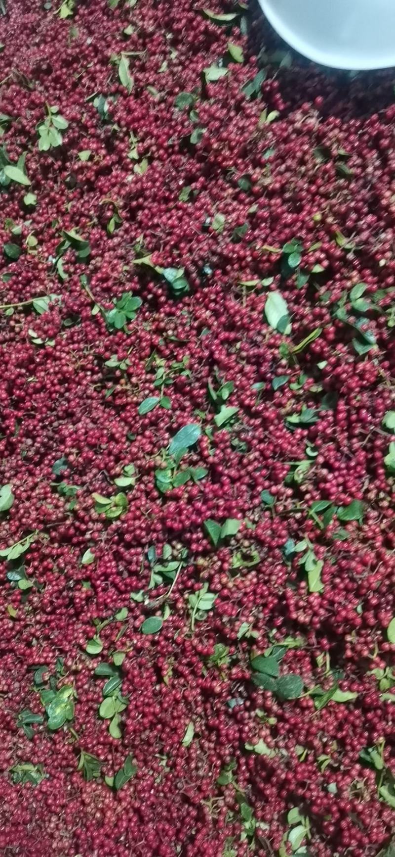 精品香麻小红花椒