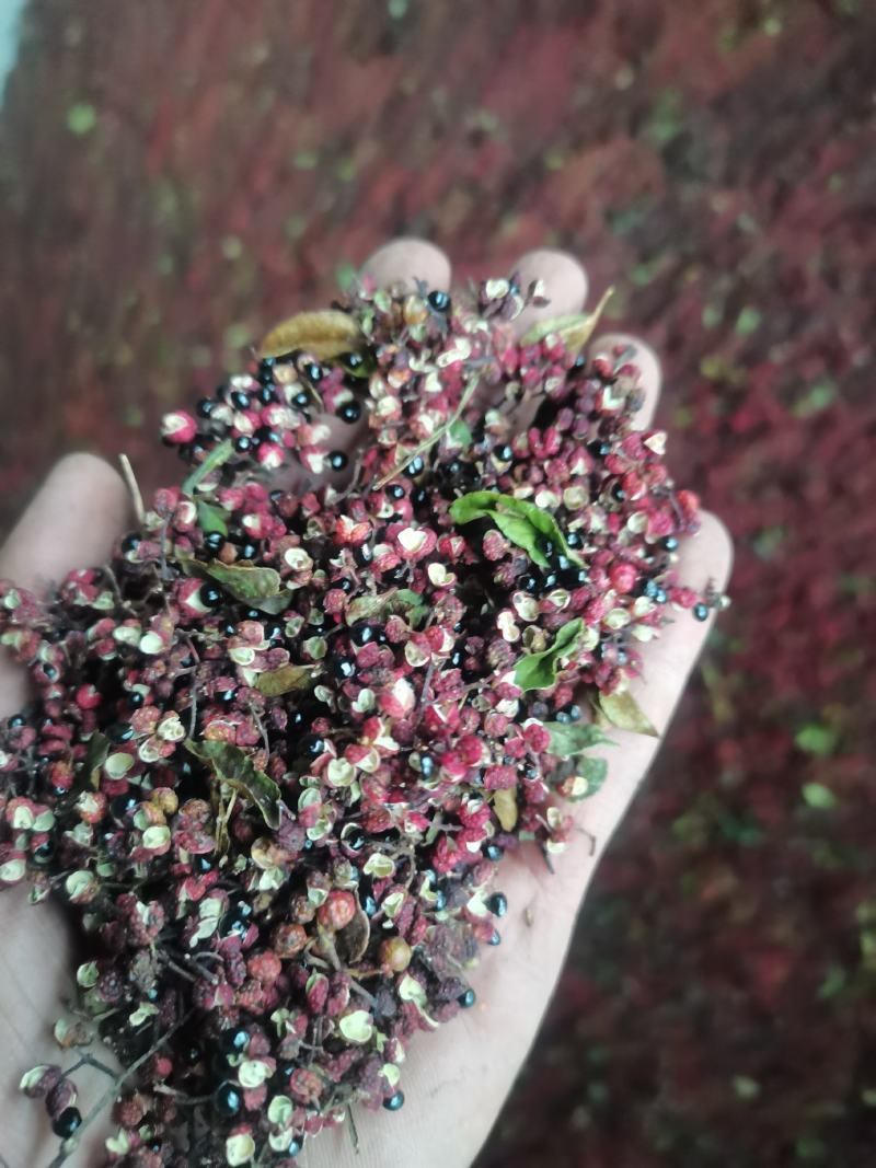 精品香麻小红花椒