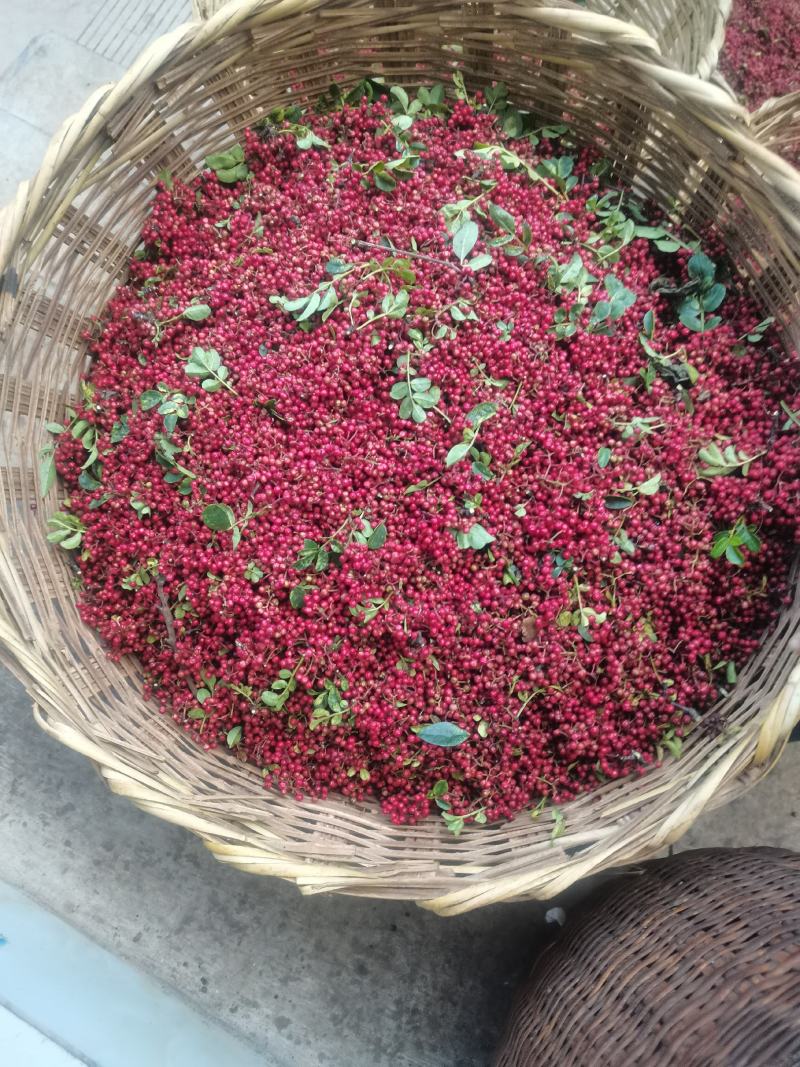 精品香麻小红花椒