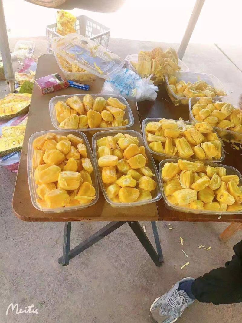 马来一号菠萝蜜产地直采，价格美丽量大从优，欢迎咨询