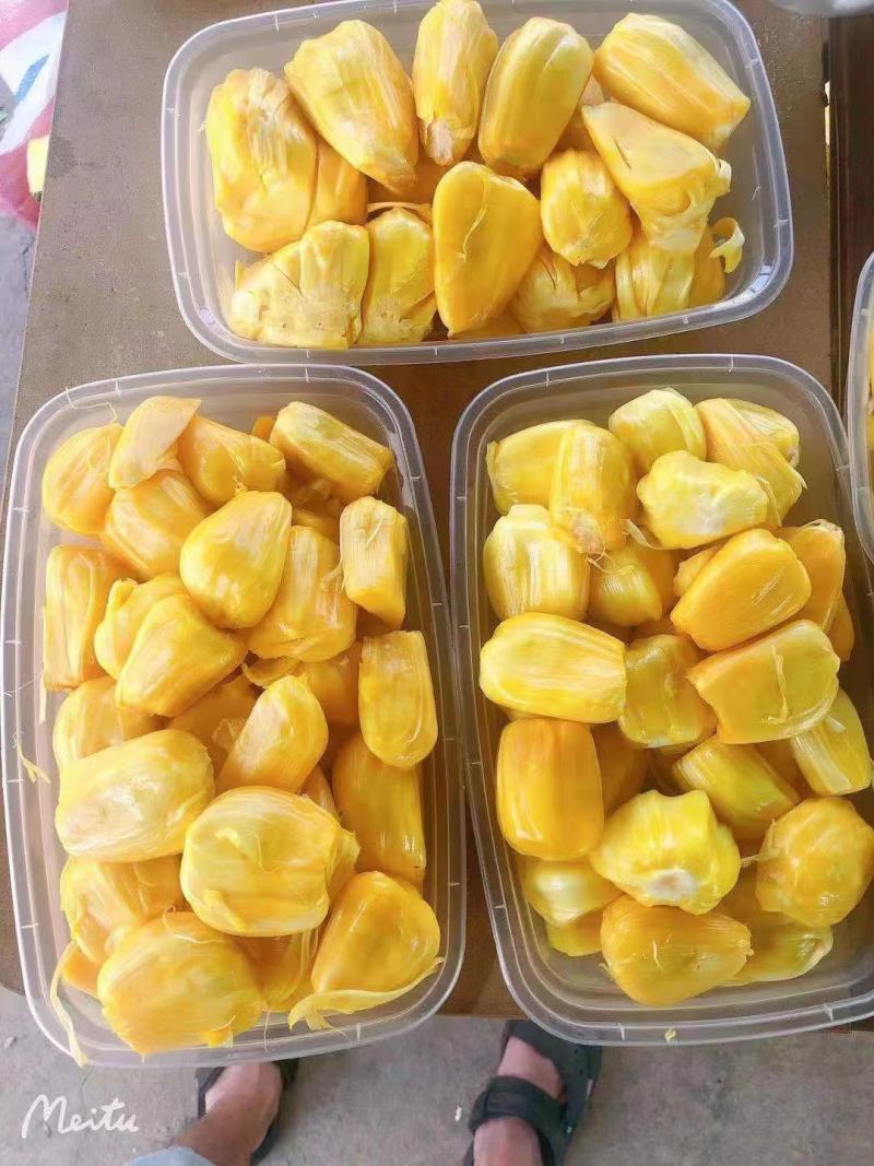 马来一号菠萝蜜产地直采，价格美丽量大从优，欢迎咨询