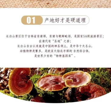 灵芝孢子粉是灵芝最精华的部分，是灵芝的种子。