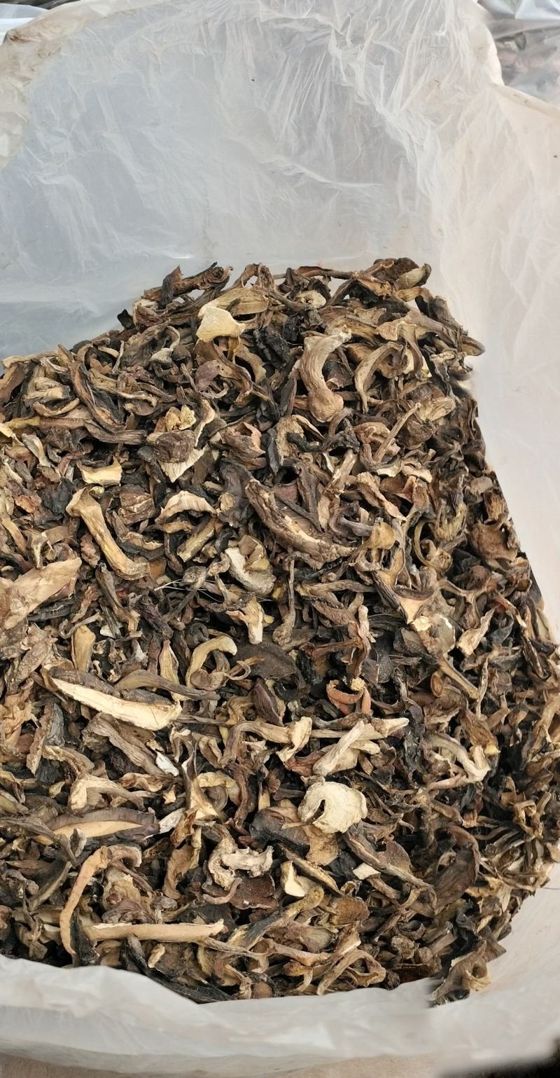 黑牛肝菌干货，源产地野生菌干货批发，黑牛肝菌餐饮酒店火锅