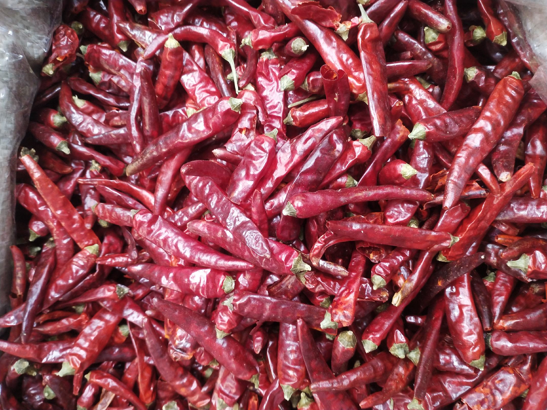 展示多个干燥后的石柱红5号干辣椒,颜色鲜红,果实修长,表面光滑无破损 石柱红5号干辣椒特写展示