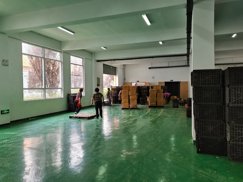 金丝绞瓜大量上市，品质保障，货源充足，基地直发，欢迎咨询