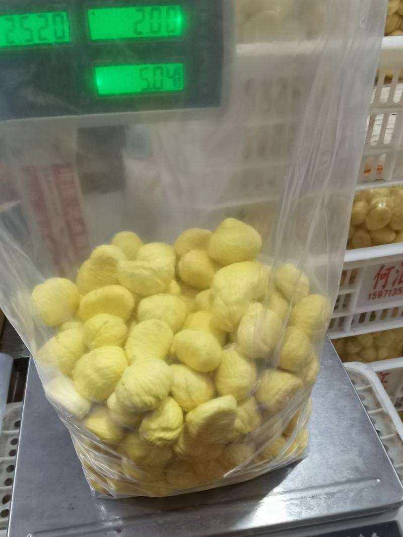 罗田鲜板栗仁