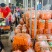 精品胡萝卜2两以上水洗10厘米以上保质保量供货