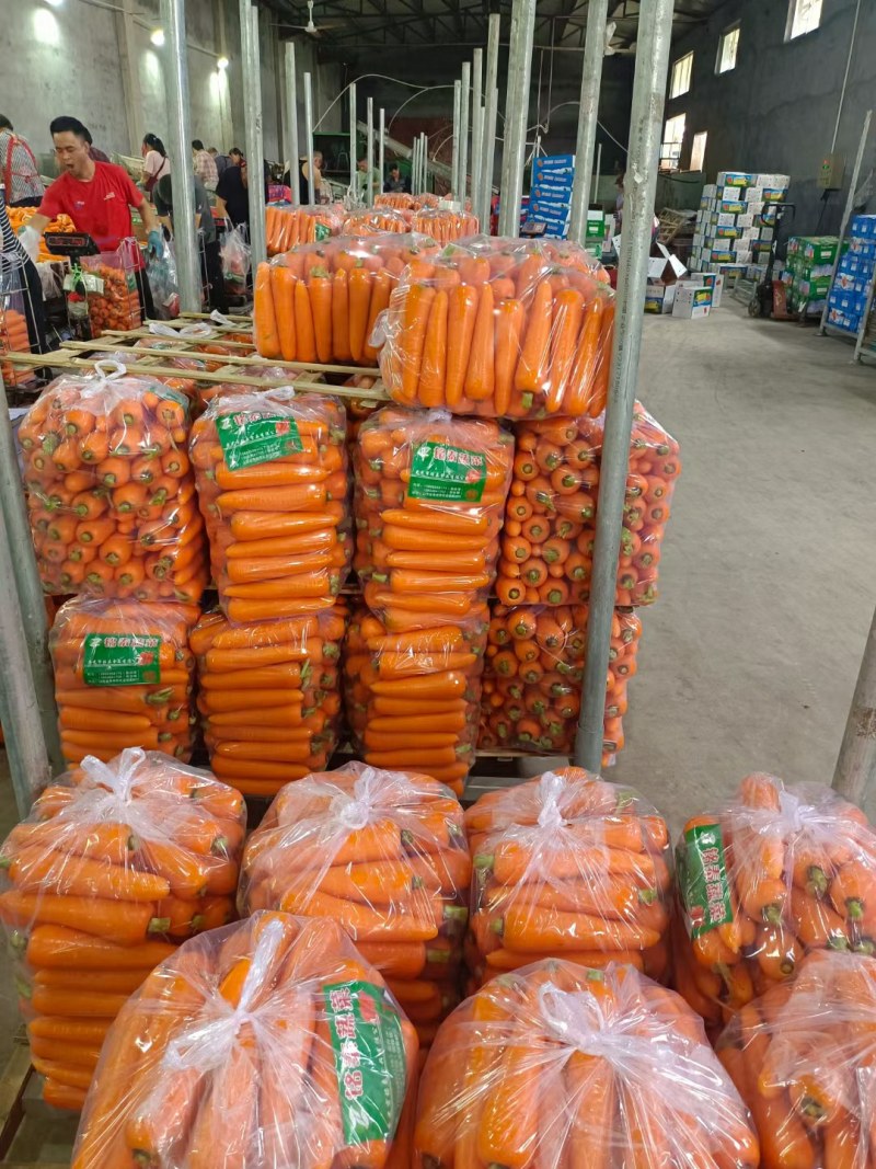 精品胡萝卜2两以上水洗10厘米以上保质保量供货