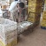 精品乳鸽价格下调，大量批发厂家直供量大从优