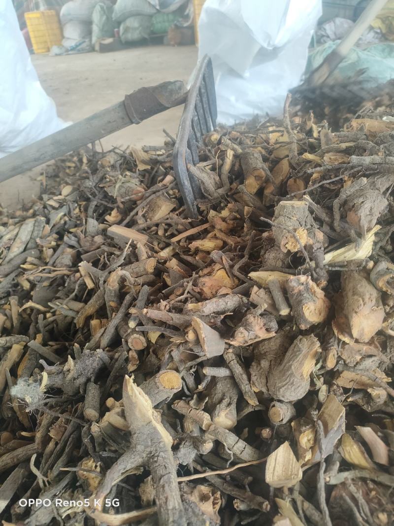 野生睇牛仔又名（苦里根），草药也就是黄药。