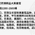 西红柿种子吉运番茄种子粉果大果耐寒高产颜色靓丽果型周正