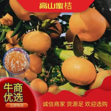蜜桔产地直供，品种齐全，货源充足，保质保量，杜绝套路