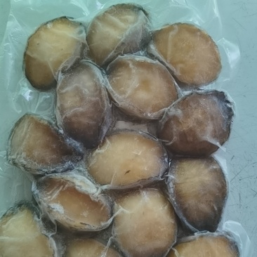 急冻冰鲜鲍鱼特级货，酒店酒席火锅店一级食材