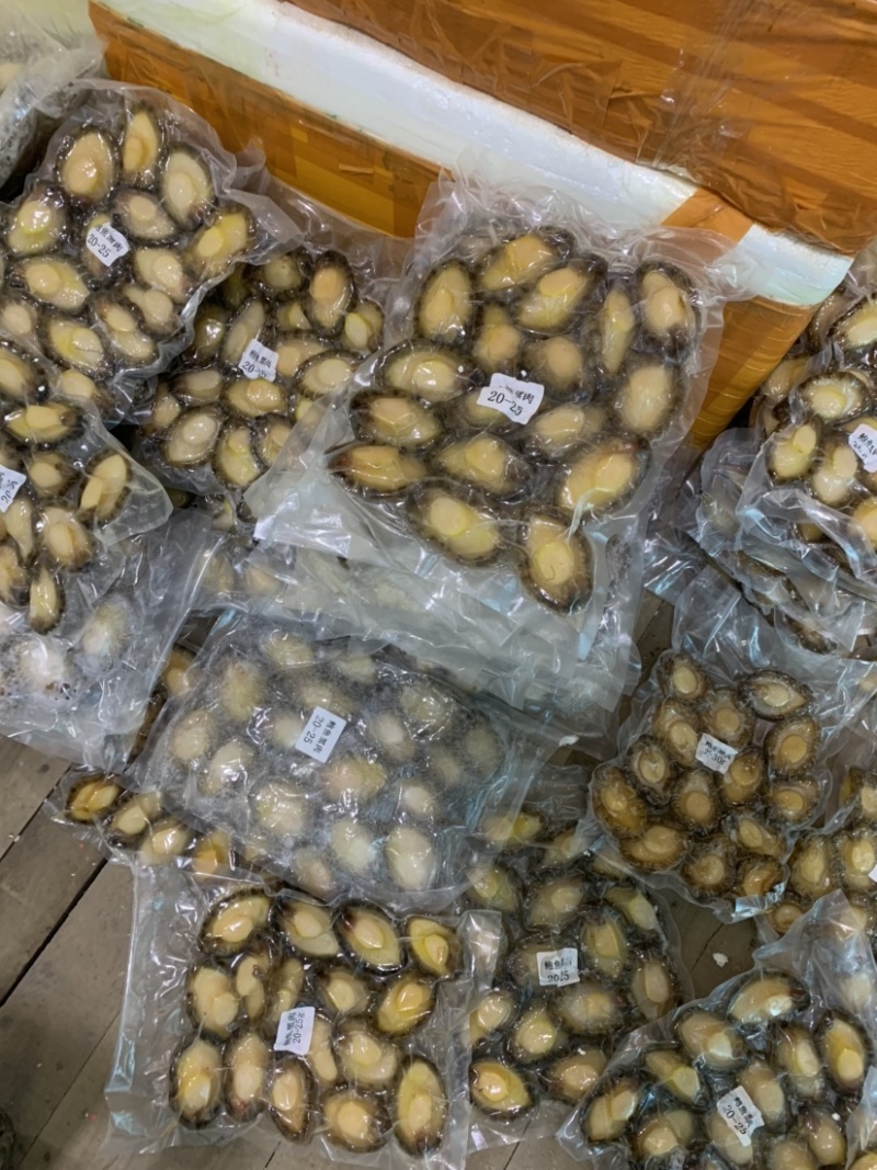 急冻冰鲜鲍鱼特级货，酒店酒席火锅店一级食材