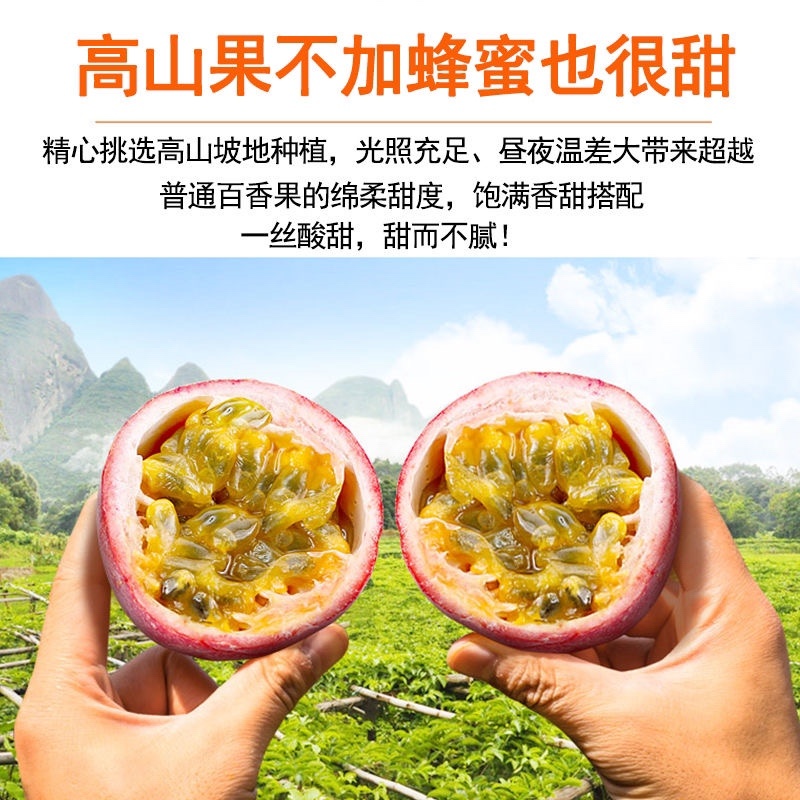 广西百香果万亩产地直供电商市场日供应万斤以上