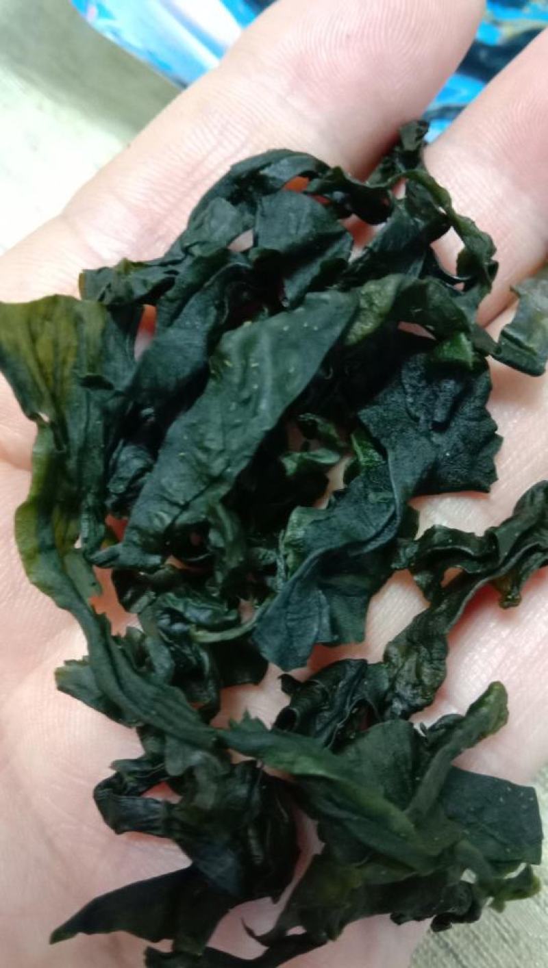 新货裙带菜50g-1000g特级海木耳海白菜海带芽海螺旋