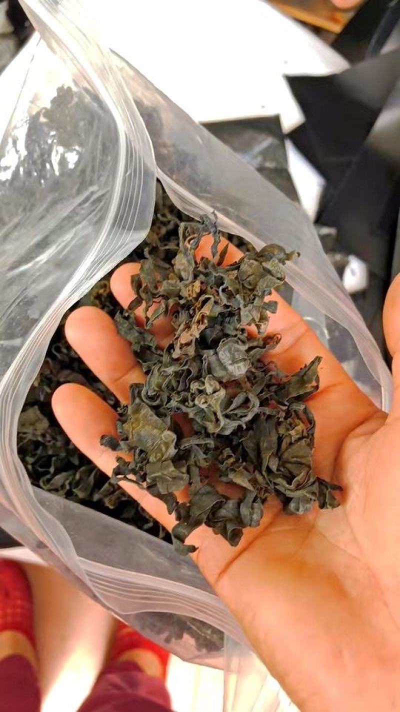 裙带菜海白菜海木耳海带芽海里螺旋海藻干货凉拌菜出口韩国大