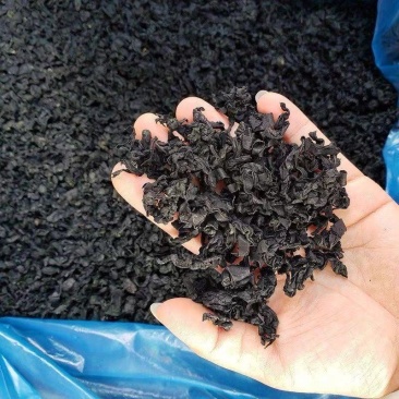 裙带菜海白菜海木耳海带芽海里螺旋海藻干货凉拌菜出口韩国大