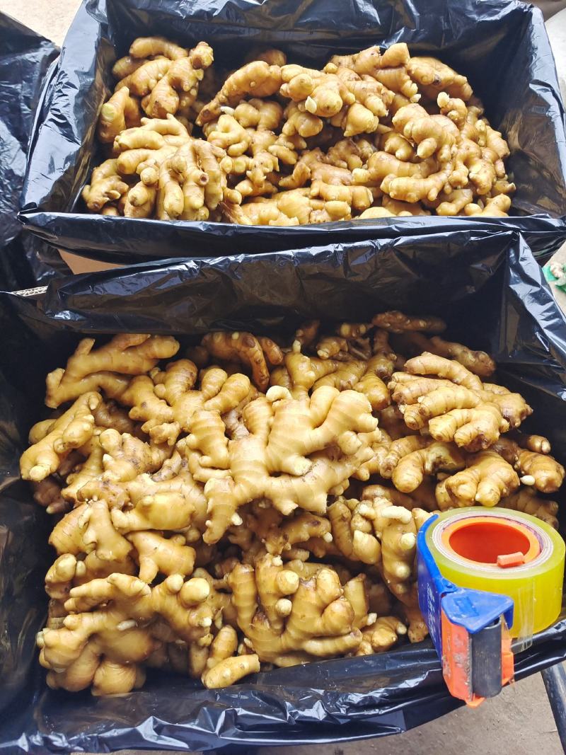【北京】生姜产地—坏烂包赔（优选/电商市场超市加工）齐全