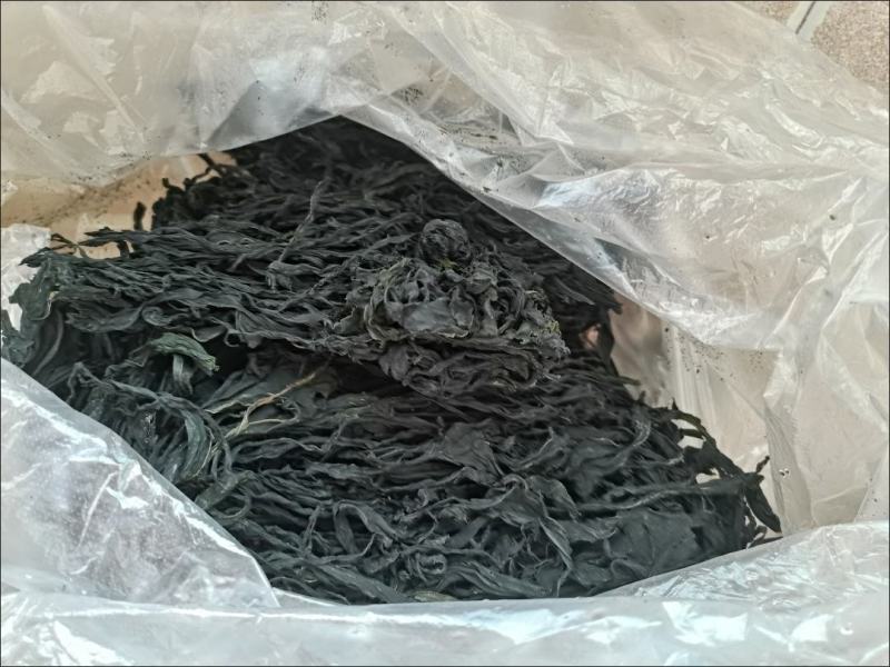 【整条干裙带菜】裙带菜干货鲜嫩韩式海带裙带菜火锅食材海鲜