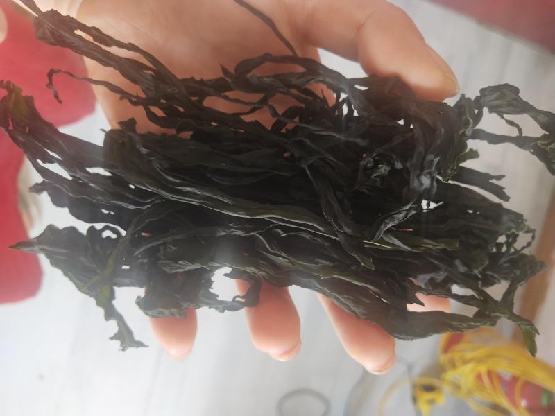 【整条干裙带菜】裙带菜干货鲜嫩韩式海带裙带菜火锅食材海鲜