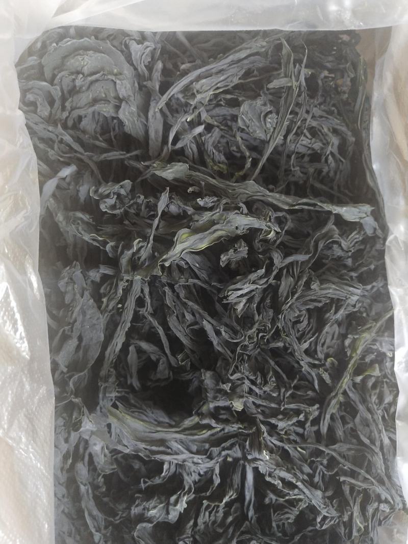 【整条干裙带菜】裙带菜干货鲜嫩韩式海带裙带菜火锅食材海鲜