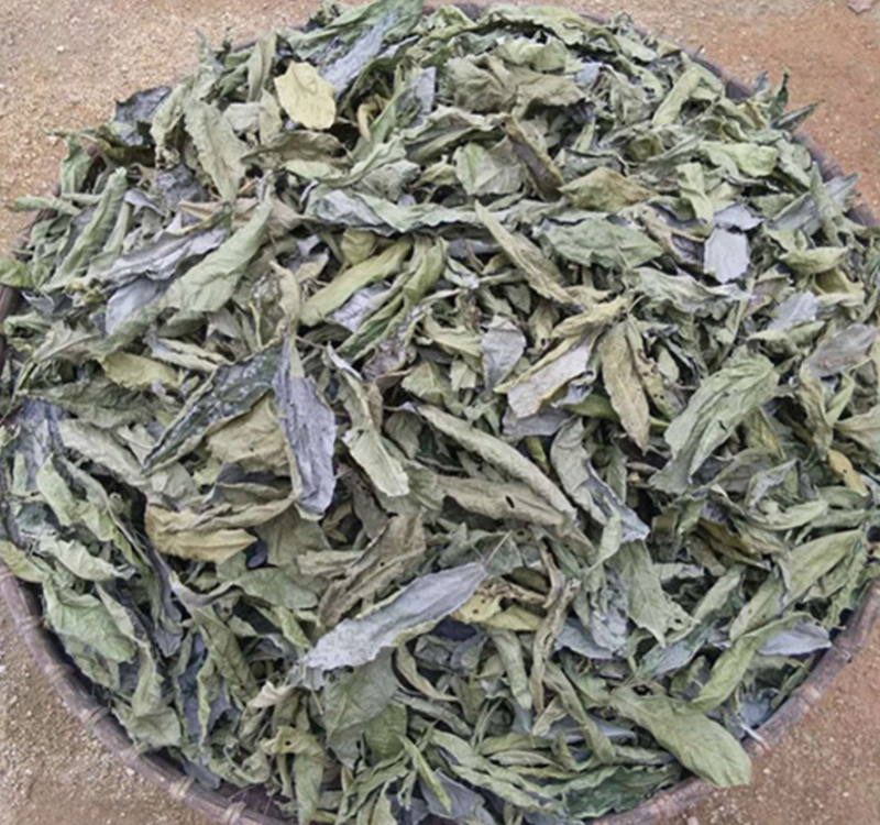 鹧鸪茶