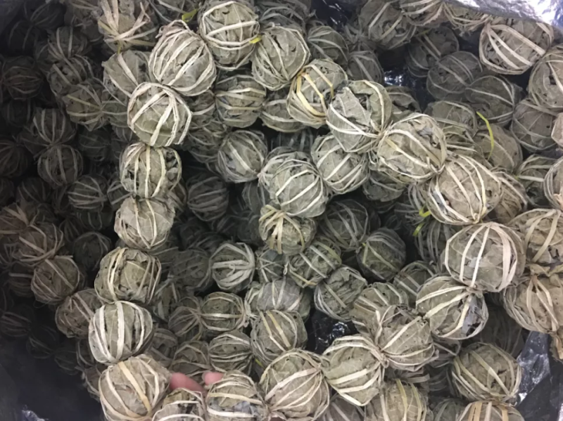 鹧鸪茶