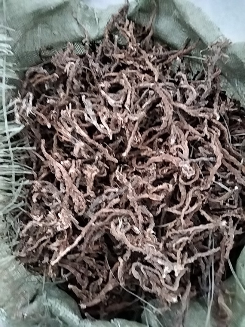 石菖蒲