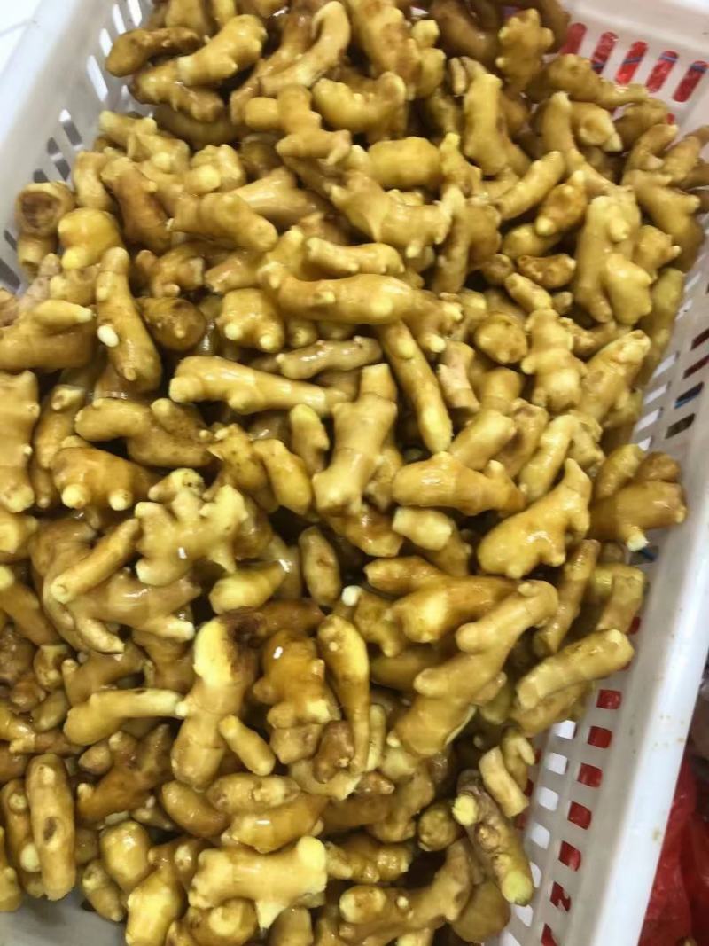 【辽宁】生姜产地—坏烂包赔（优选/电商市场超市加工）齐全