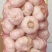 杞县优质大蒜河南大蒜产地直发品质保障量大优惠