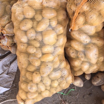 【热销】小土豆淀粉薯，土豆，无腐烂，