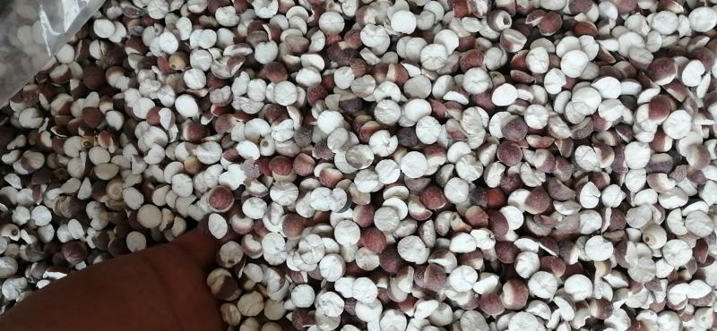 芡实鸡头米广东肇庆芡实米无硫无添加各种规格中药材