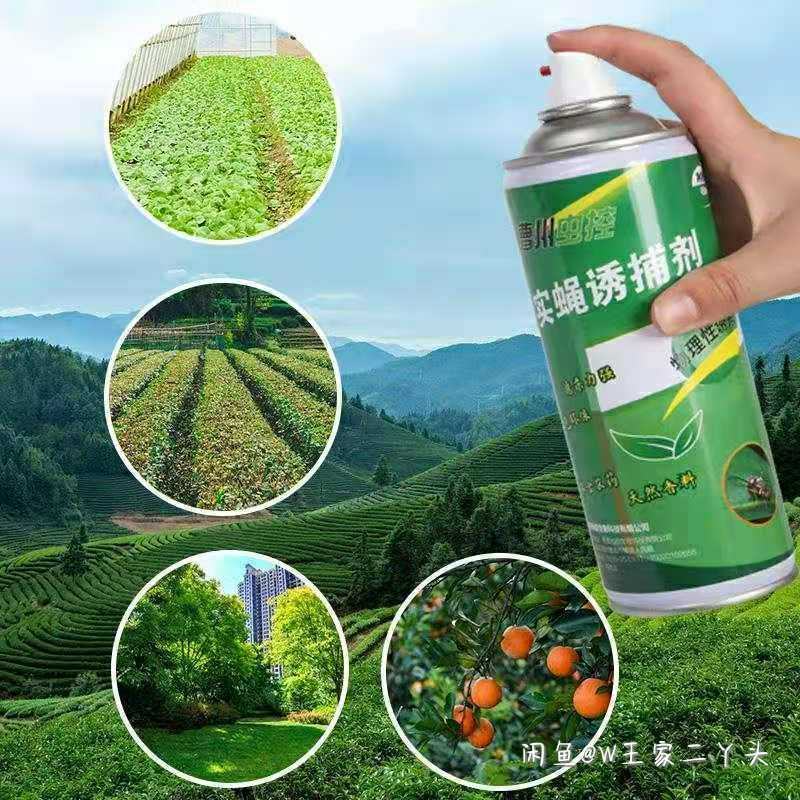 果蝇诱粘剂诱捕器瓜果实蝇针蜂引诱剂杀果蝇药果园果树物理诱