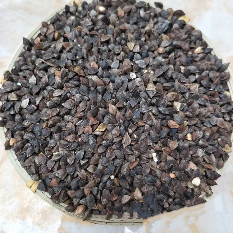 [荞麦批发]大量批发带壳黑荞麦农家荞麦米黑荞麦五谷杂粮袋装50斤价格3.60元/斤 - 一亩田