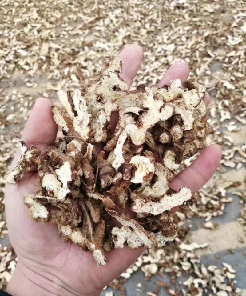 苍术【包邮】三斤起发货可批量可零售量大从优