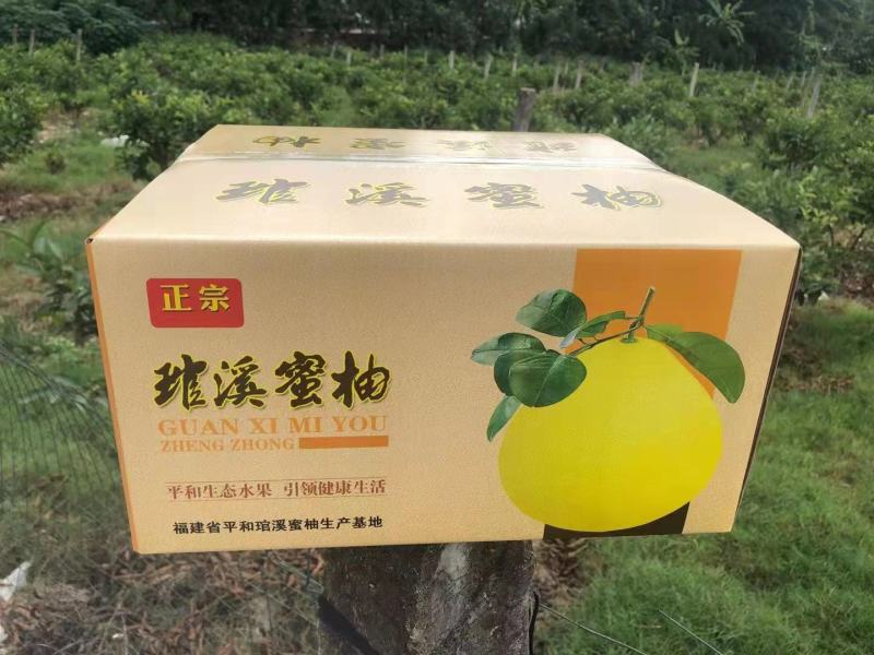 平和柚子