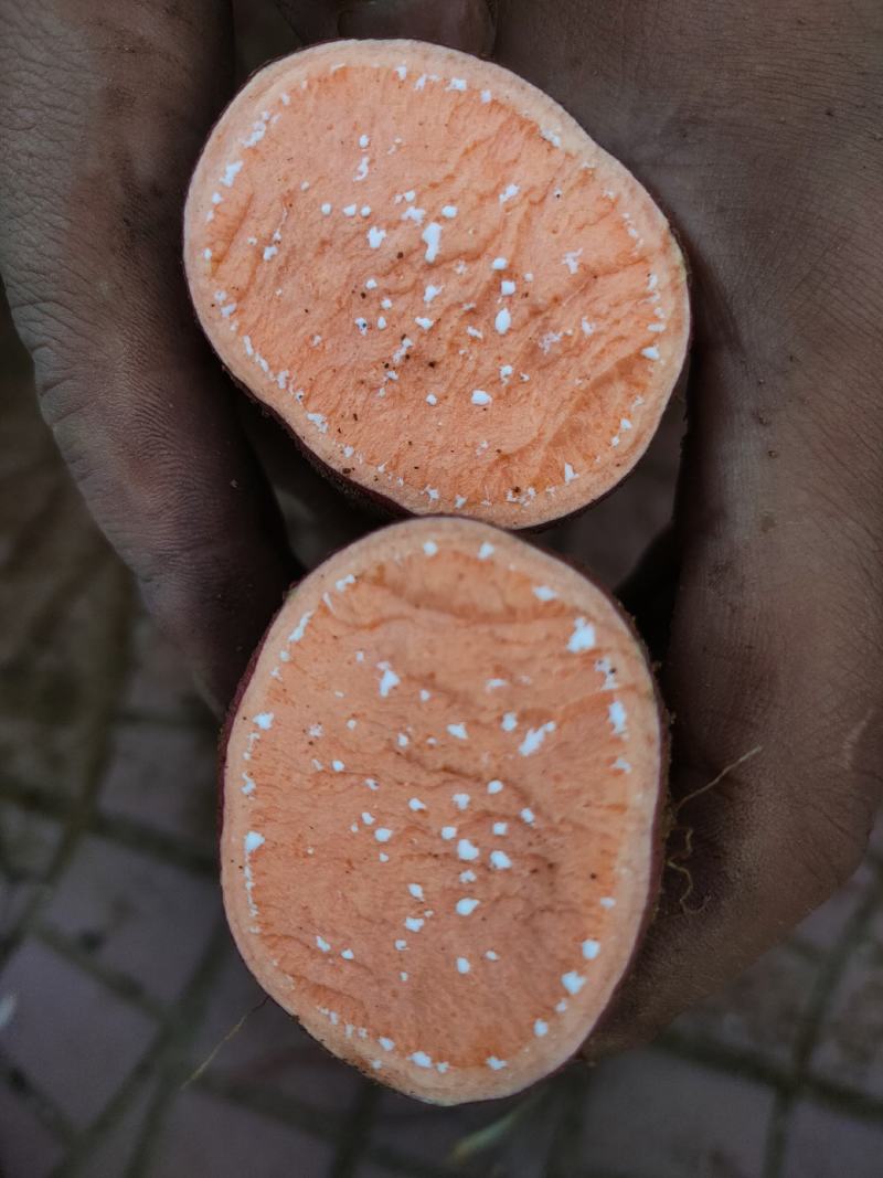 山东西瓜红蜜薯沙土地新鲜现挖条形好糖化快地瓜红薯