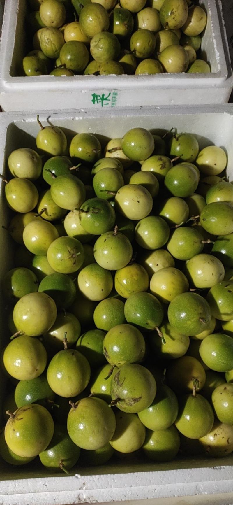 贵香蜜黄金百香果