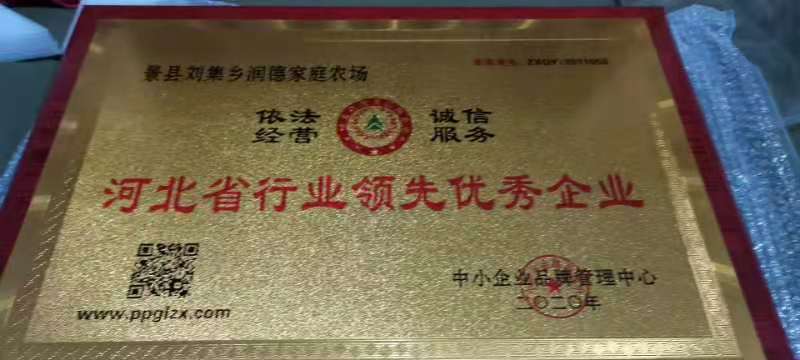 土鸡蛋散养土鸡土鸡蛋存粮饲喂林下散养土鸡养殖场