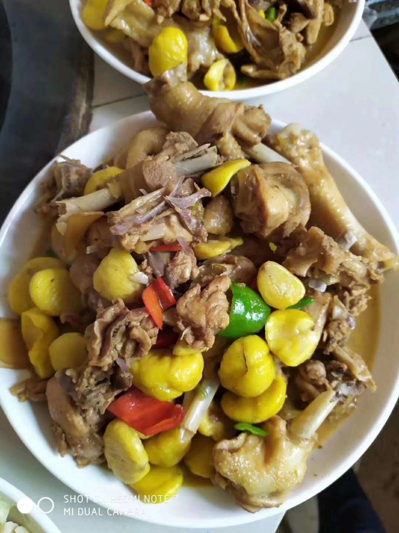 新鲜板栗大市