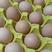 安徽土鸡蛋土鸡蛋360枚规格目前每箱约29-31斤