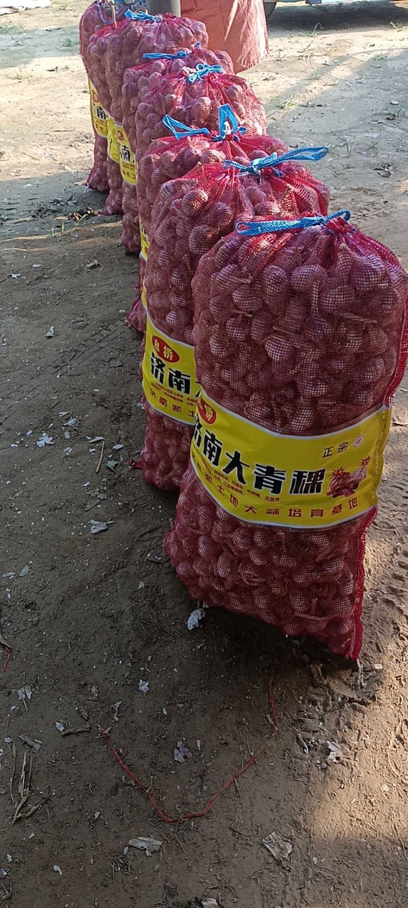 大蒜出售！