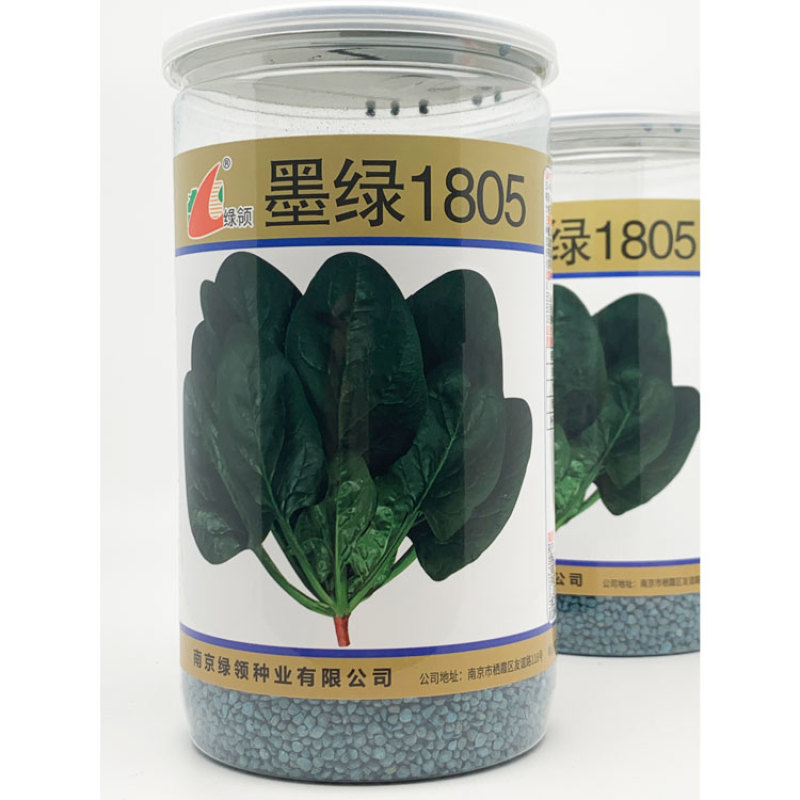 墨绿1805大圆叶菠菜种子高产抗病春秋越冬菠菜籽600克