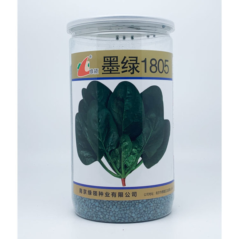 墨绿1805大圆叶菠菜种子高产抗病春秋越冬菠菜籽600克