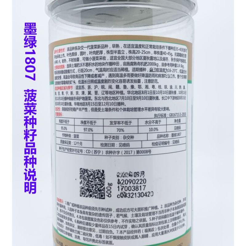 墨绿1805大圆叶菠菜种子高产抗病春秋越冬菠菜籽600克