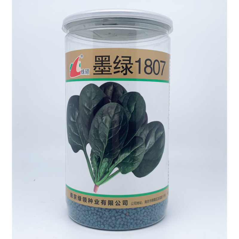墨绿1805大圆叶菠菜种子高产抗病春秋越冬菠菜籽600克