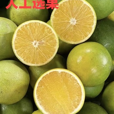 《一件代发》云南新平冰糖橙，香甜可口，美味多汁，孕妇必备