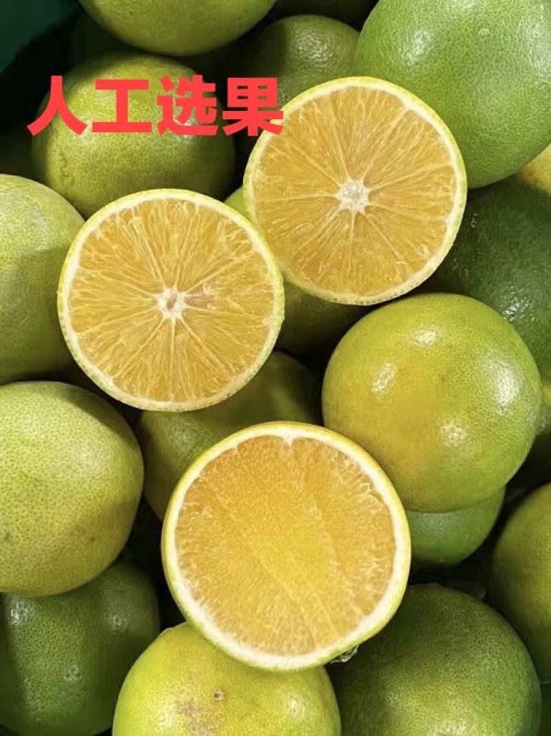 《一件代发》云南新平冰糖橙，香甜可口，美味多汁，孕妇必备