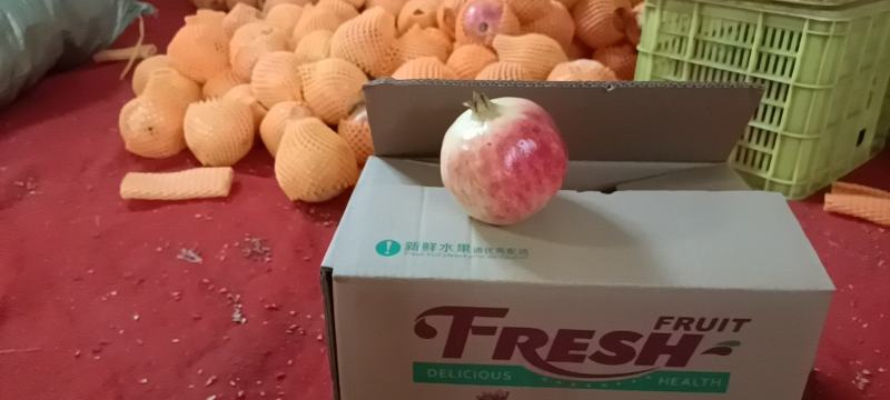 会理软籽石榴5斤装大果.新鲜水果无籽包邮